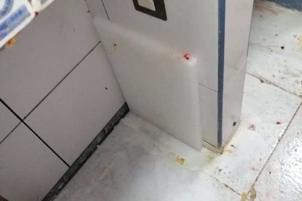 Найти зеркало кракена