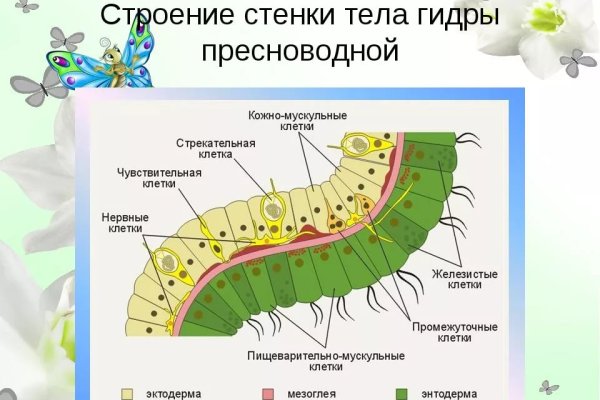 Kraken17 at сайт