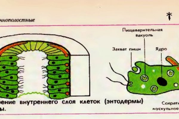 Как зайти на кракен браузеры