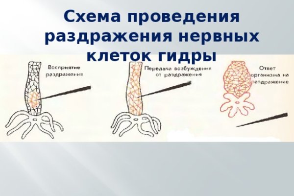 Кракен новый маркетплейс